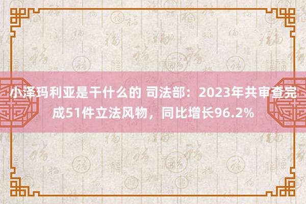 小泽玛利亚是干什么的 司法部：2023年共审查完成51件立法风物，同比增长96.2%