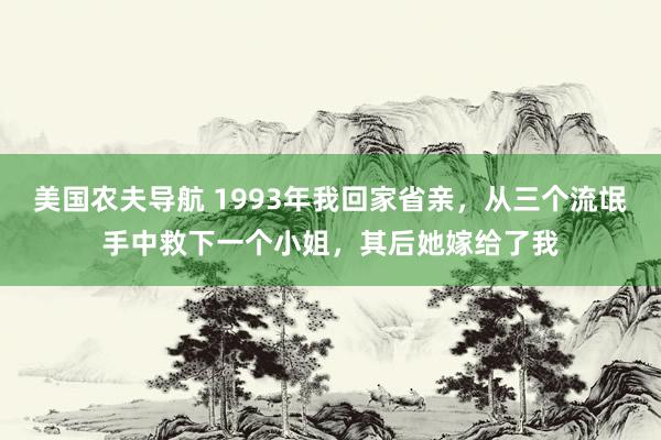 美国农夫导航 1993年我回家省亲，从三个流氓手中救下一个小姐，其后她嫁给了我