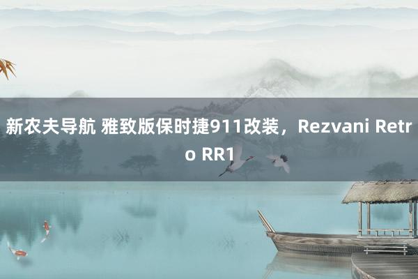 新农夫导航 雅致版保时捷911改装，Rezvani Retro RR1