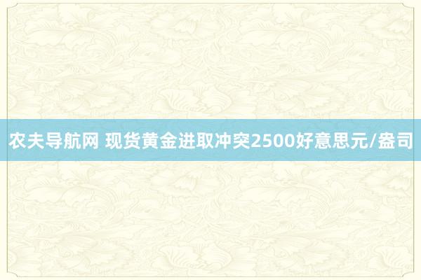 农夫导航网 现货黄金进取冲突2500好意思元/盎司