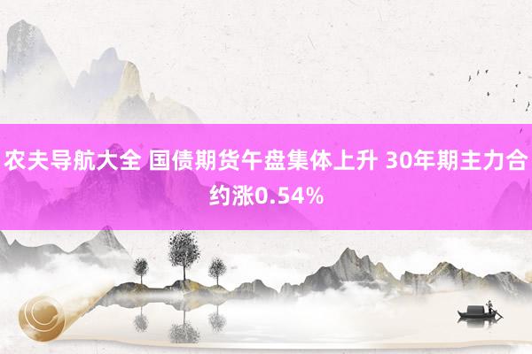 农夫导航大全 国债期货午盘集体上升 30年期主力合约涨0.54%