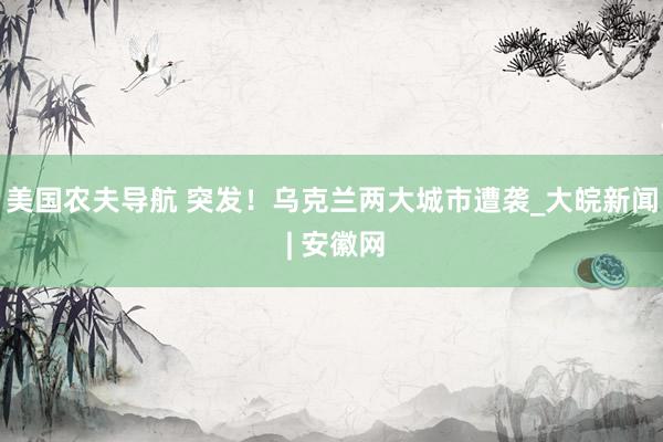 美国农夫导航 突发！乌克兰两大城市遭袭_大皖新闻 | 安徽网