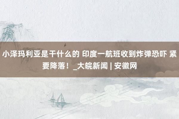 小泽玛利亚是干什么的 印度一航班收到炸弹恐吓 紧要降落！_大皖新闻 | 安徽网