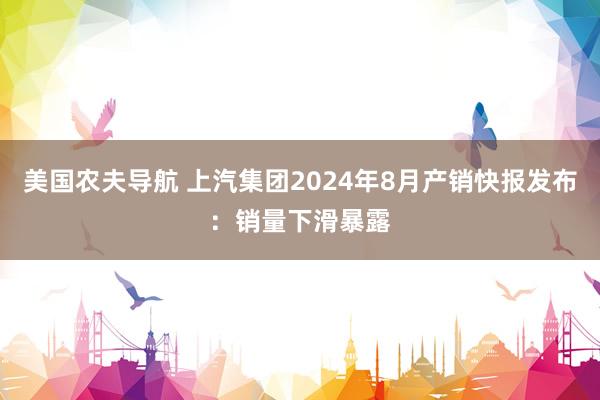 美国农夫导航 上汽集团2024年8月产销快报发布：销量下滑暴露