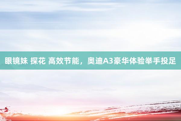 眼镜妹 探花 高效节能，奥迪A3豪华体验举手投足