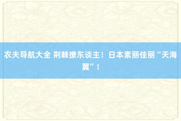 农夫导航大全 荆棘撩东谈主！日本素丽佳丽“天海翼”！