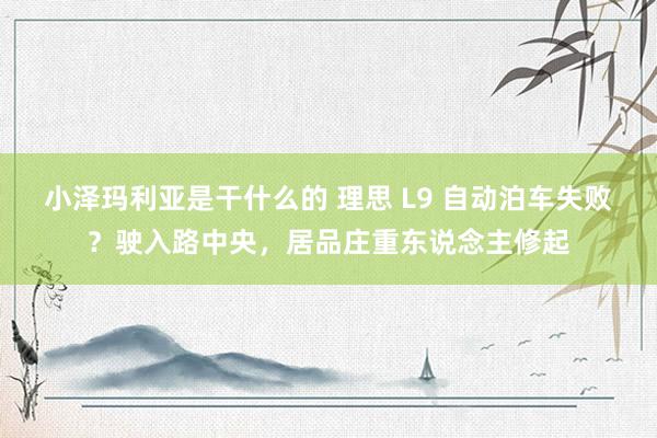 小泽玛利亚是干什么的 理思 L9 自动泊车失败？驶入路中央，居品庄重东说念主修起