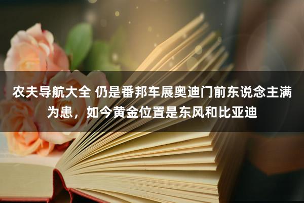 农夫导航大全 仍是番邦车展奥迪门前东说念主满为患，如今黄金位置是东风和比亚迪