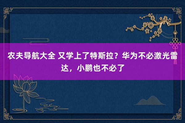 农夫导航大全 又学上了特斯拉？华为不必激光雷达，小鹏也不必了