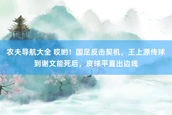 农夫导航大全 哎哟！国足反击契机，王上源传球到谢文能死后，皮球平直出边线