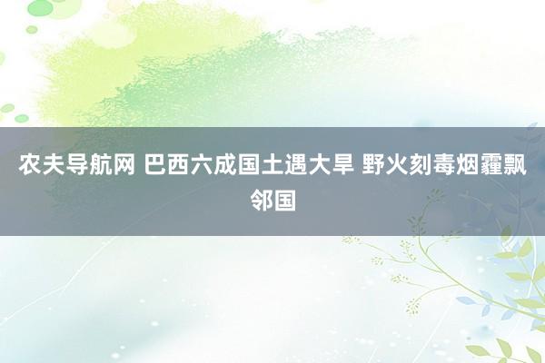 农夫导航网 巴西六成国土遇大旱 野火刻毒烟霾飘邻国