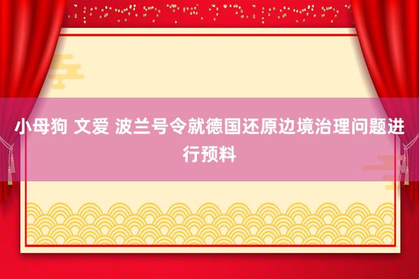 小母狗 文爱 波兰号令就德国还原边境治理问题进行预料