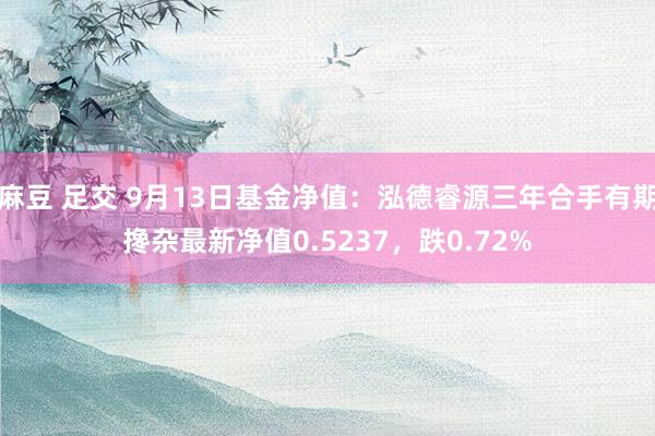 麻豆 足交 9月13日基金净值：泓德睿源三年合手有期搀杂最新净值0.5237，跌0.72%