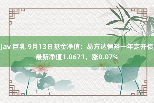 jav 巨乳 9月13日基金净值：易方达恒裕一年定开债最新净值1.0671，涨0.07%