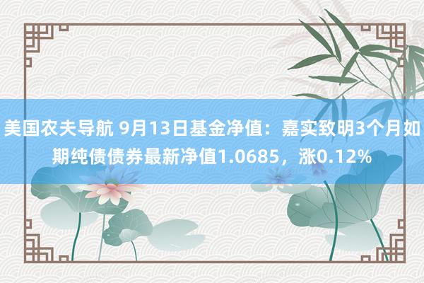 美国农夫导航 9月13日基金净值：嘉实致明3个月如期纯债债券最新净值1.0685，涨0.12%