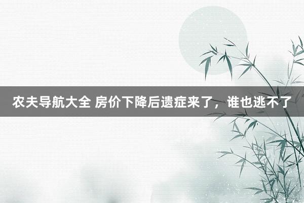农夫导航大全 房价下降后遗症来了，谁也逃不了
