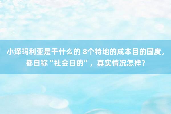 小泽玛利亚是干什么的 8个特地的成本目的国度，都自称“社会目的”，真实情况怎样？