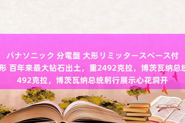 パナソニック 分電盤 大形リミッタースペース付 露出・半埋込両用形 百年来最大钻石出土，重2492克拉，博茨瓦纳总统躬行展示心花洞开