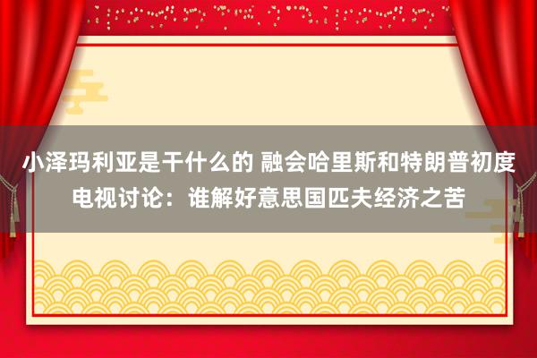 小泽玛利亚是干什么的 融会哈里斯和特朗普初度电视讨论：谁解好意思国匹夫经济之苦