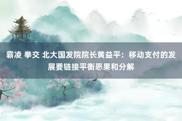 霸凌 拳交 北大国发院院长黄益平：移动支付的发展要链接平衡恶果和分解