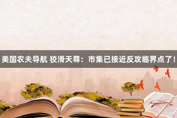 美国农夫导航 狡滑天尊：市集已接近反攻临界点了！