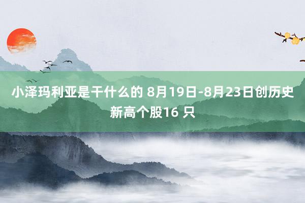 小泽玛利亚是干什么的 8月19日-8月23日创历史新高个股16 只