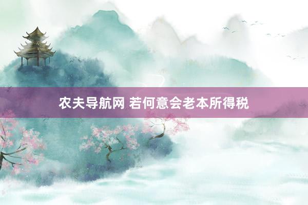 农夫导航网 若何意会老本所得税