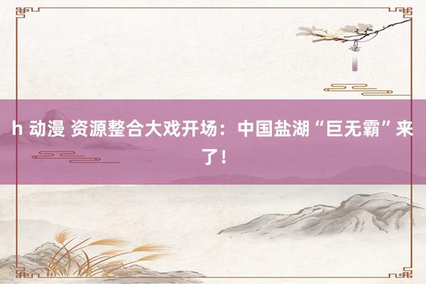 h 动漫 资源整合大戏开场：中国盐湖“巨无霸”来了！