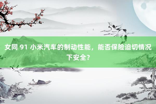 女同 91 小米汽车的制动性能，能否保险迫切情况下安全？