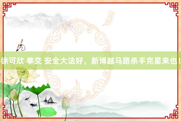 徐可欣 拳交 安全大法好，新博越马路杀手克星来也！