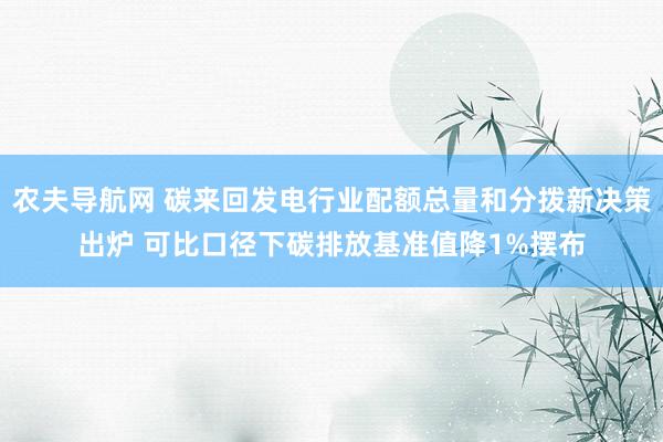农夫导航网 碳来回发电行业配额总量和分拨新决策出炉 可比口径下碳排放基准值降1%摆布