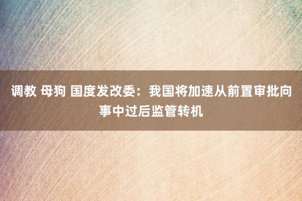 调教 母狗 国度发改委：我国将加速从前置审批向事中过后监管转机