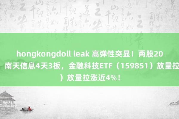 hongkongdoll leak 高弹性突显！两股20CM涨停，南天信息4天3板，金融科技ETF（159851）放量拉涨近4%！