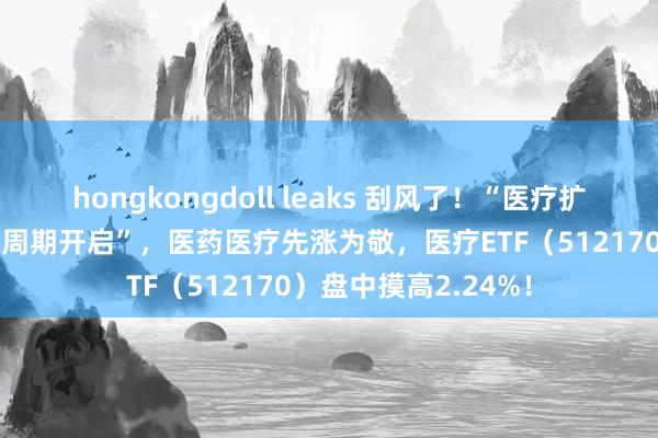 hongkongdoll leaks 刮风了！“医疗扩打绽放”遇上“降息周期开启”，医药医疗先涨为敬，医疗ETF（512170）盘中摸高2.24%！