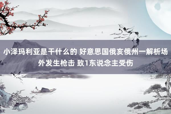 小泽玛利亚是干什么的 好意思国俄亥俄州一解析场外发生枪击 致1东说念主受伤