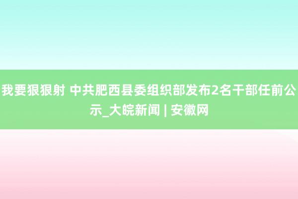 我要狠狠射 中共肥西县委组织部发布2名干部任前公示_大皖新闻 | 安徽网
