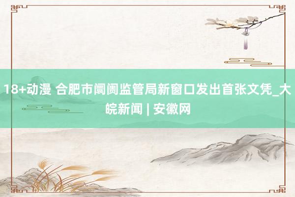 18+动漫 合肥市阛阓监管局新窗口发出首张文凭_大皖新闻 | 安徽网