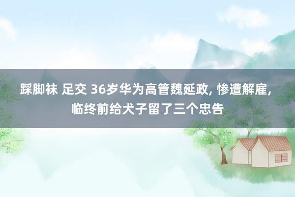 踩脚袜 足交 36岁华为高管魏延政， 惨遭解雇， 临终前给犬子留了三个忠告