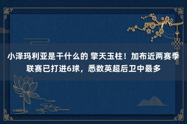 小泽玛利亚是干什么的 擎天玉柱！加布近两赛季联赛已打进6球，悉数英超后卫中最多
