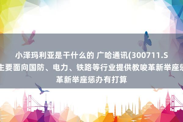 小泽玛利亚是干什么的 广哈通讯(300711.SZ)：现在主要面向国防、电力、铁路等行业提供教唆革新举座惩办有打算