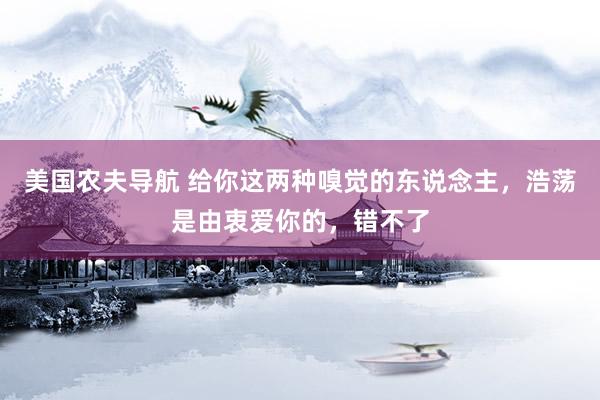 美国农夫导航 给你这两种嗅觉的东说念主，浩荡是由衷爱你的，错不了