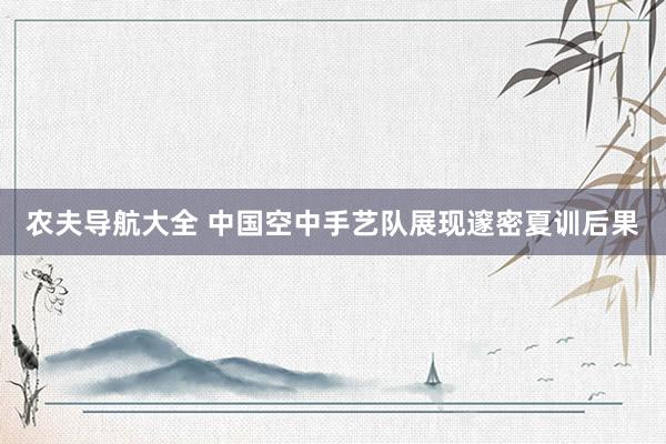 农夫导航大全 中国空中手艺队展现邃密夏训后果