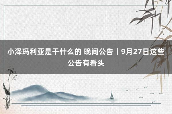 小泽玛利亚是干什么的 晚间公告丨9月27日这些公告有看头