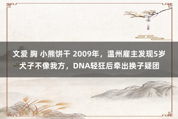 文爱 胸 小熊饼干 2009年，温州雇主发现5岁犬子不像我方，DNA轻狂后牵出换子疑团