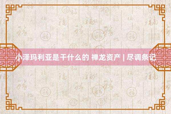 小泽玛利亚是干什么的 禅龙资产 | 尽调条记