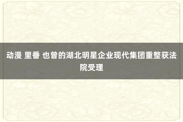 动漫 里番 也曾的湖北明星企业现代集团重整获法院受理