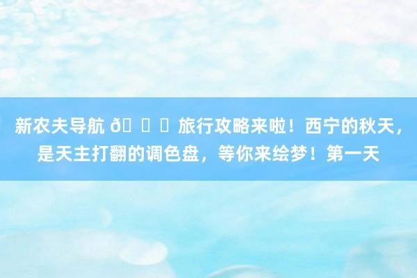 新农夫导航 🎒旅行攻略来啦！西宁的秋天，是天主打翻的调色盘，等你来绘梦！第一天