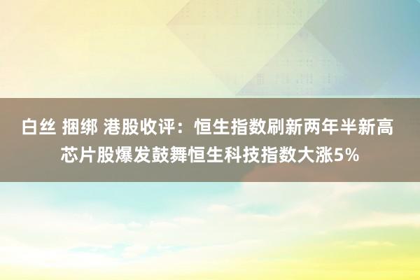 白丝 捆绑 港股收评：恒生指数刷新两年半新高 芯片股爆发鼓舞恒生科技指数大涨5%