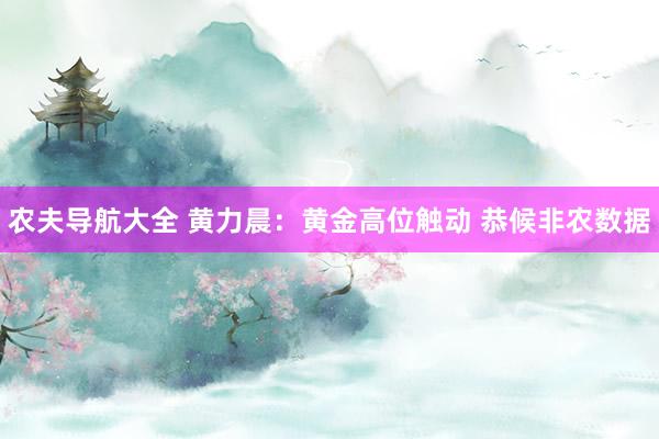 农夫导航大全 黄力晨：黄金高位触动 恭候非农数据