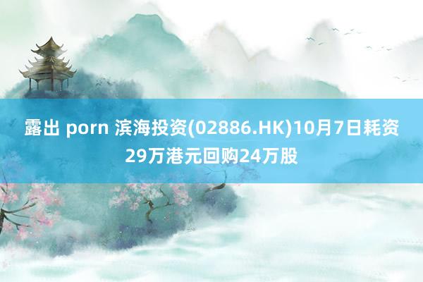 露出 porn 滨海投资(02886.HK)10月7日耗资29万港元回购24万股